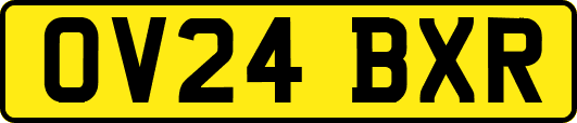 OV24BXR