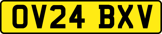 OV24BXV