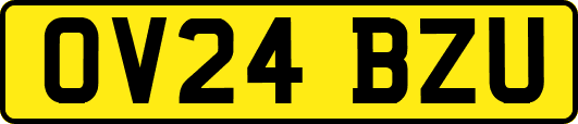 OV24BZU