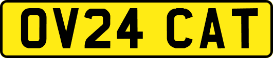 OV24CAT