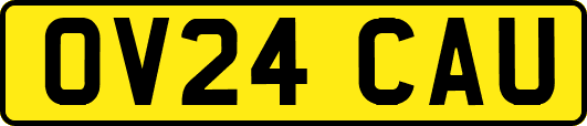 OV24CAU