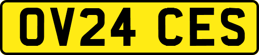OV24CES