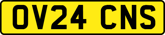 OV24CNS
