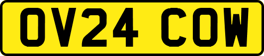 OV24COW