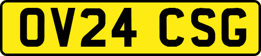 OV24CSG