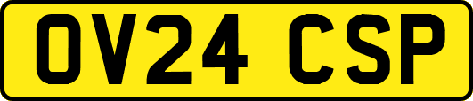 OV24CSP
