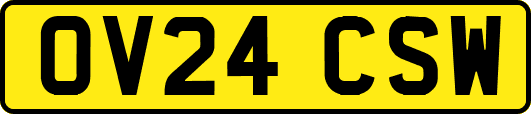 OV24CSW