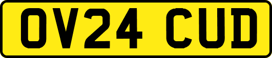 OV24CUD
