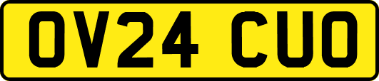 OV24CUO
