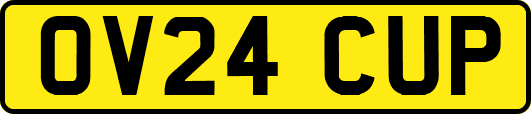 OV24CUP