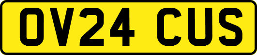 OV24CUS