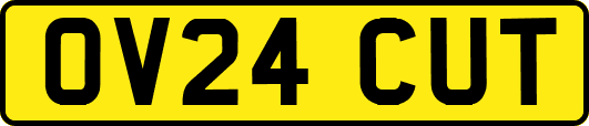 OV24CUT