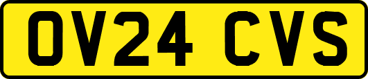 OV24CVS