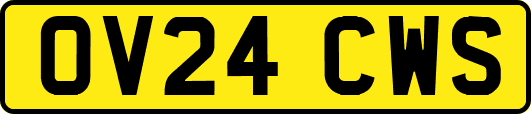 OV24CWS