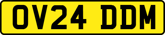 OV24DDM