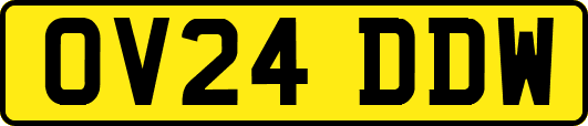 OV24DDW