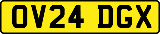OV24DGX