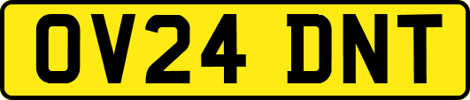 OV24DNT