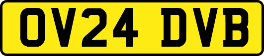 OV24DVB