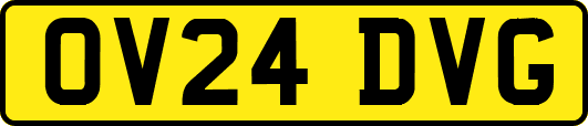 OV24DVG