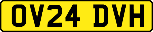 OV24DVH