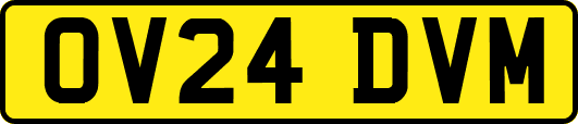 OV24DVM