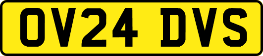 OV24DVS