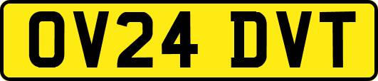 OV24DVT