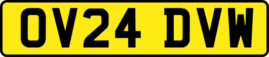 OV24DVW