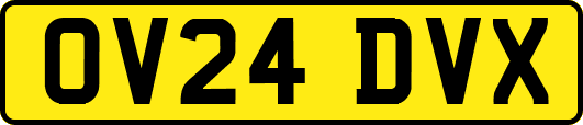 OV24DVX