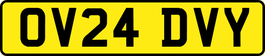 OV24DVY