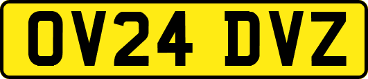 OV24DVZ
