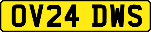 OV24DWS
