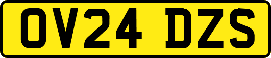 OV24DZS