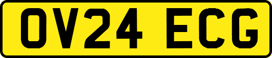 OV24ECG