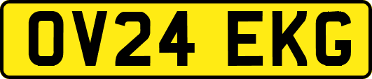 OV24EKG