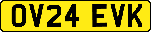OV24EVK