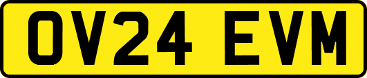 OV24EVM