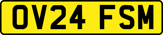 OV24FSM
