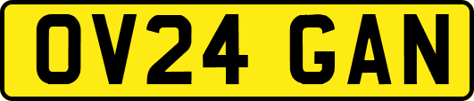 OV24GAN