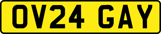 OV24GAY