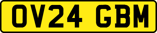 OV24GBM