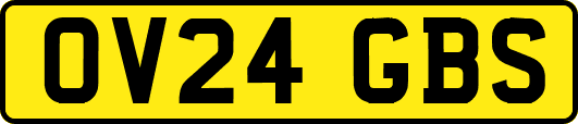 OV24GBS