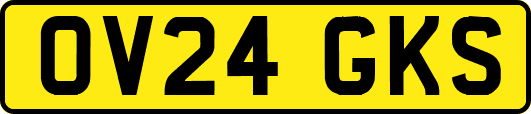 OV24GKS