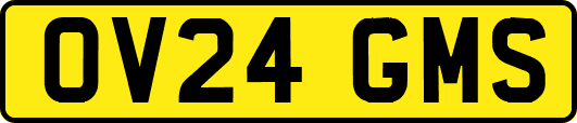 OV24GMS