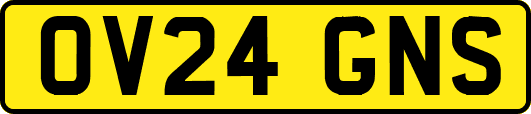 OV24GNS