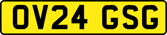 OV24GSG