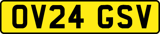 OV24GSV