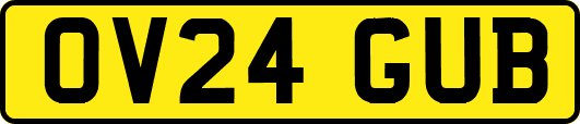 OV24GUB