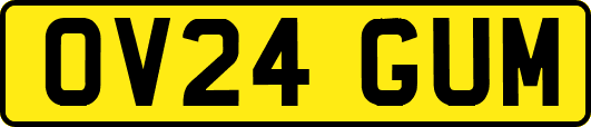 OV24GUM